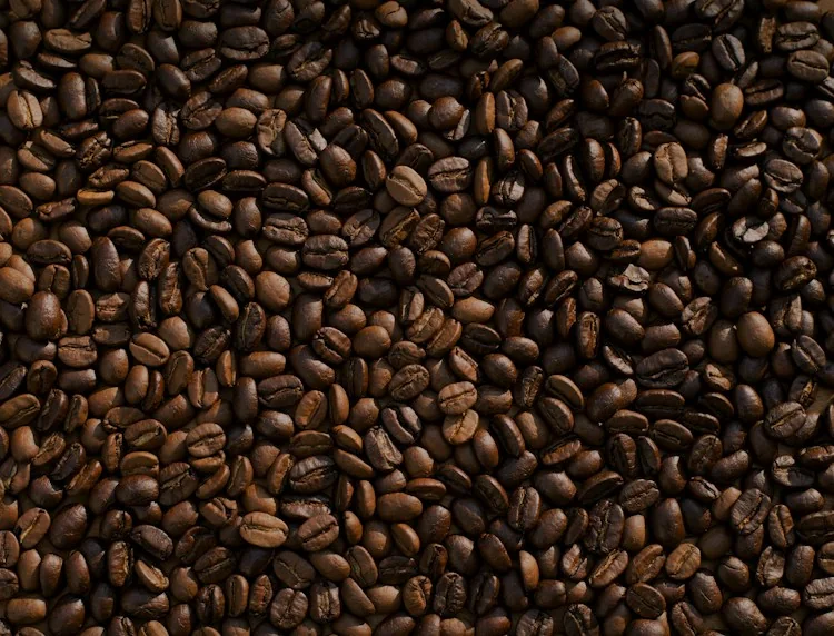 Cà phê Robusta Việt Nam